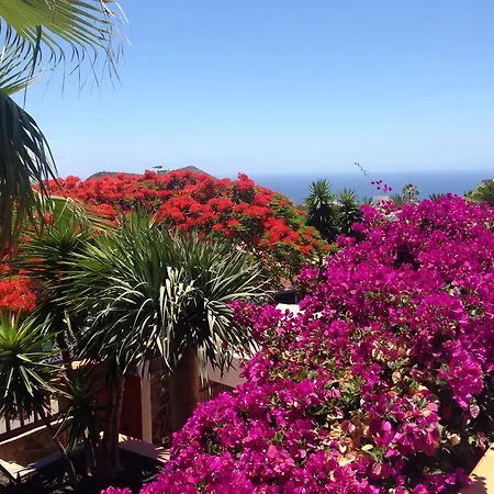 Canarias Living *